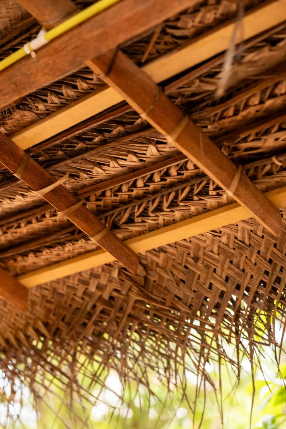 The woven thatch of the kitchen roof
